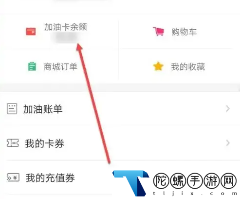 车e族账单明细怎么查_车e族查询加油明细方法